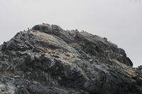 
DSC00182